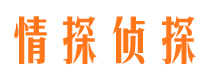 开原市调查公司